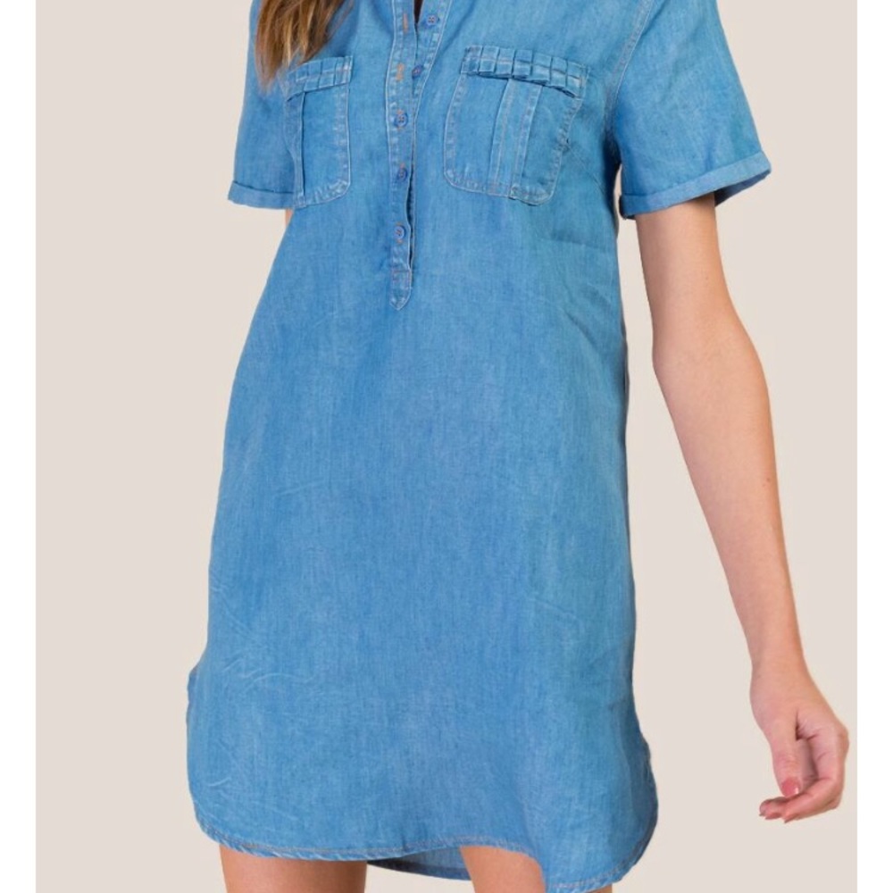 Francesca’s Willow Denim Shirt Dress